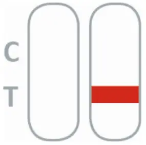 Result Interpretation