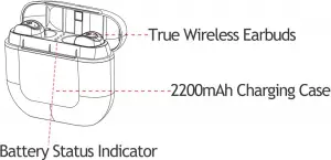 Charging Case Truly Wireless Earbud Product Preview