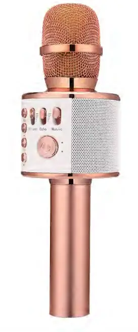 BONAOK Q37 Wireless Microphone and HIFI Speaker