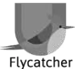Flycatcher 2AMQX10426653543 Electric Toy - FIG 4