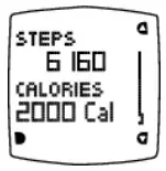 POLAR 18312 Active Activity Monitor - Activity Diary 11