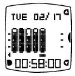 POLAR 18312 Active Activity Monitor - Activity Diary 3