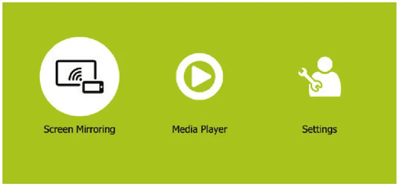 PHLIPS PicoPix Nano Mini Projector - What you need-