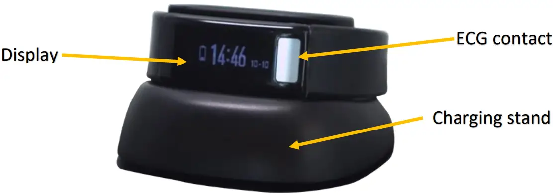 Everbeat Watch Description