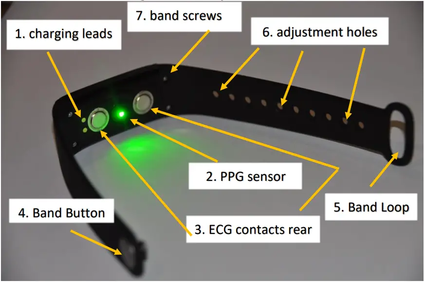 Back of the everbeat watch