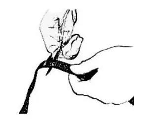 Shenzhen Banchong Technology BC201 Dog Training Collar - fig10