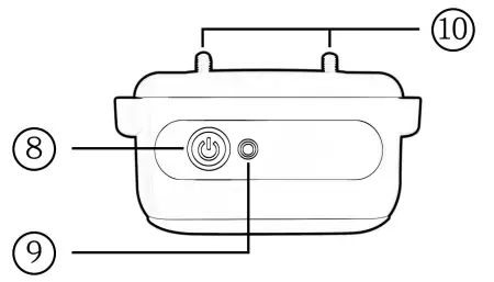 Shenzhen Banchong Technology BC201 Dog Training Collar - fig2