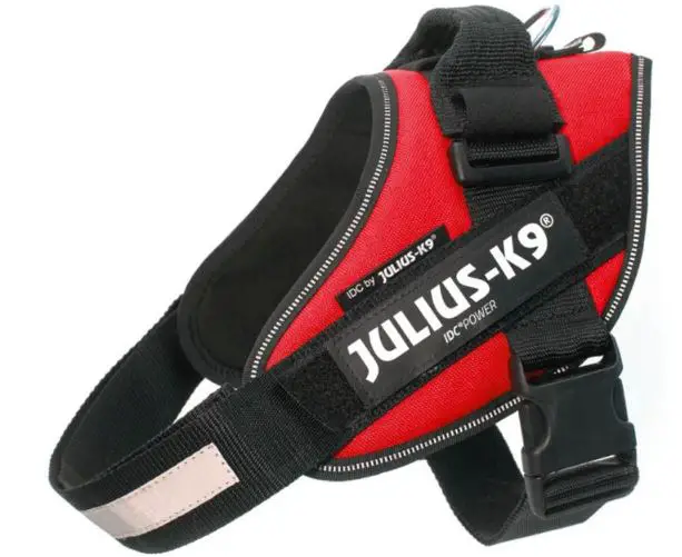 JULIUS-K9-IDC-Power-Harness-with-Safety-Lock-