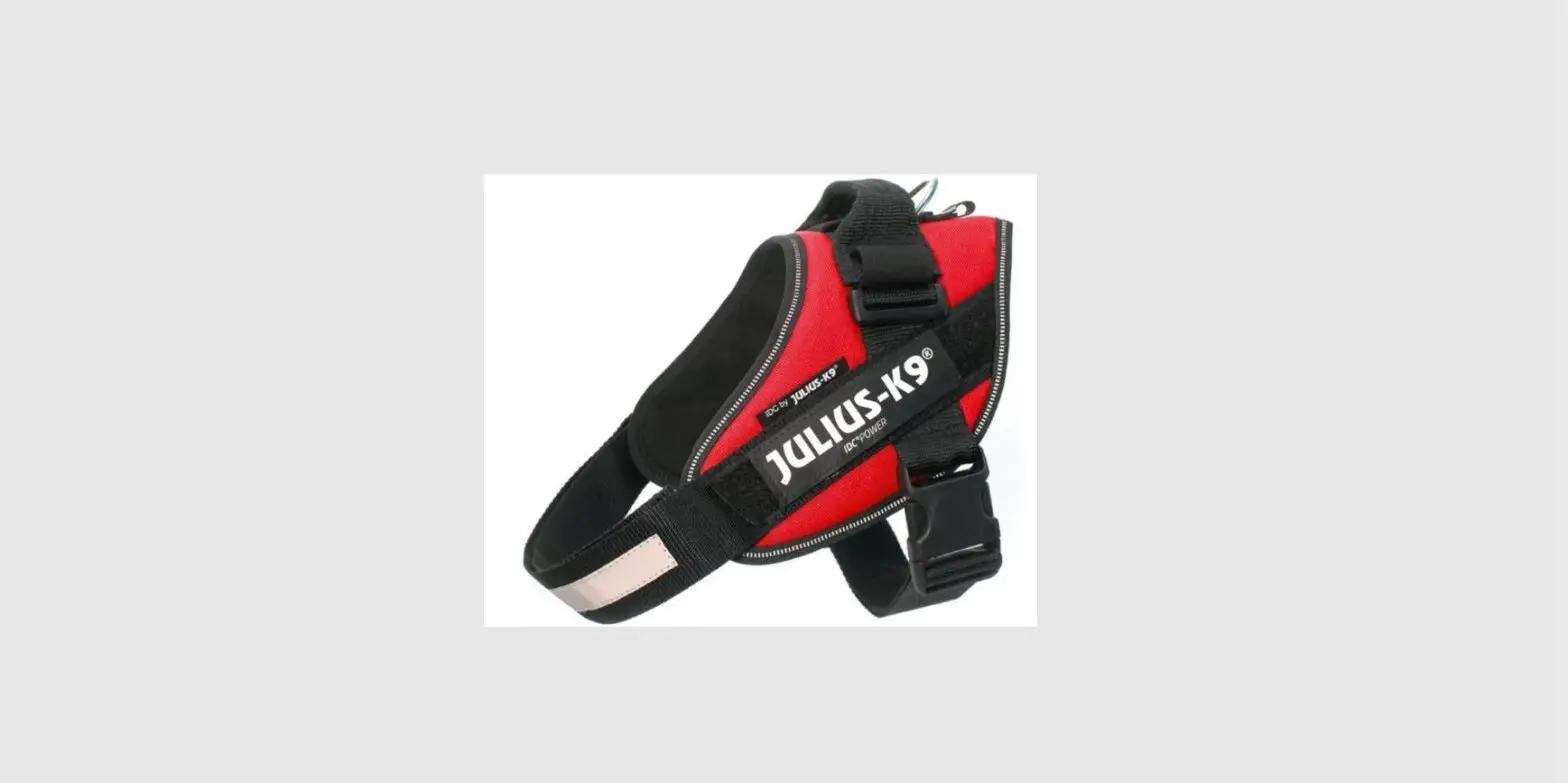 Julius-k9 Idc Power Harness With Safety Lock User Guide