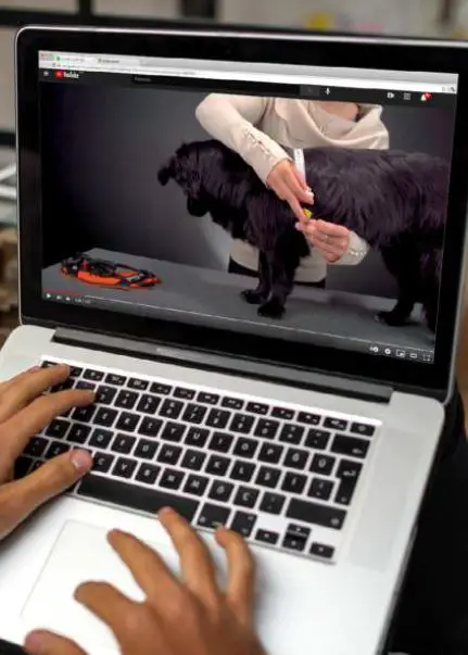 JULIUS-K9-IDC-Power-Harness-with-Safety-Lock-fig-1