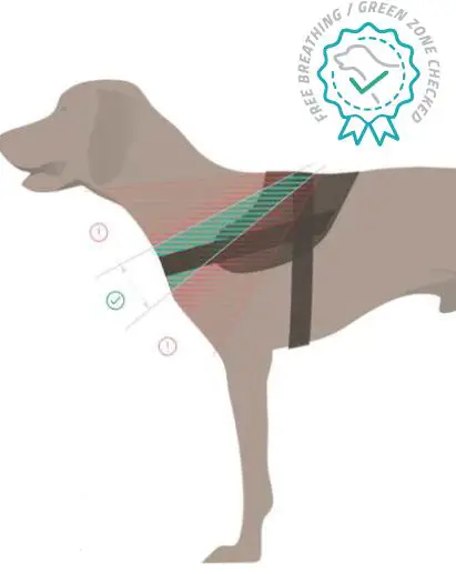 JULIUS-K9-IDC-Power-Harness-with-Safety-Lock-fig-6