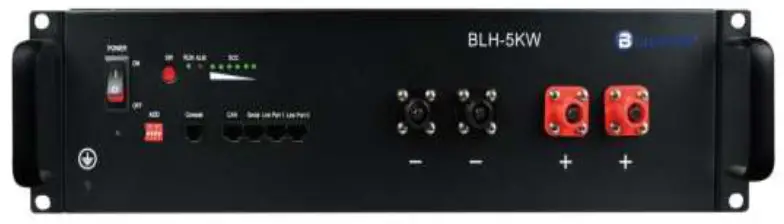 BlauHoff BLH-5KW Battery LFP Battery for Home Energy Storage Syste