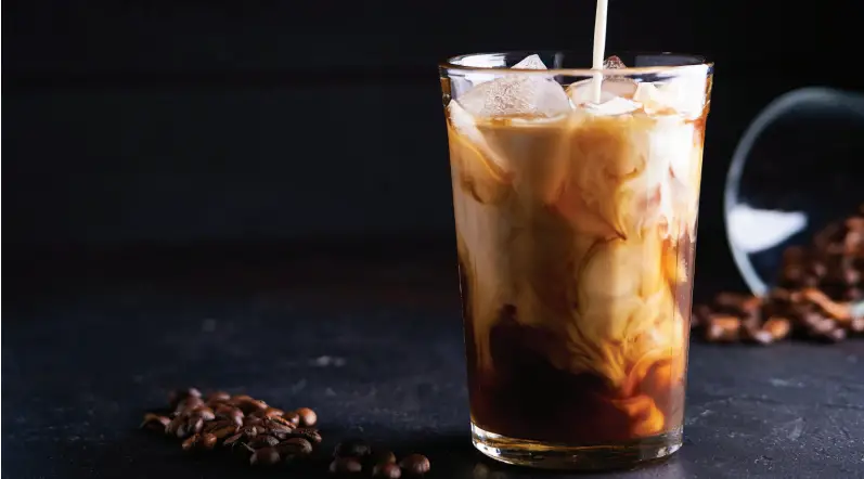 Gourmia GCM3259 Programmable Hot and Iced Coffee Maker - Fig 1