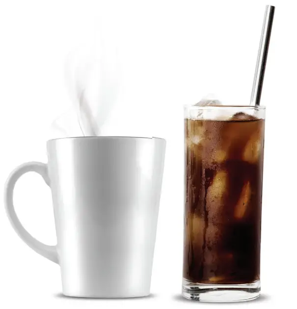 Gourmia GCM3259 Programmable Hot and Iced Coffee Maker - Fig 2