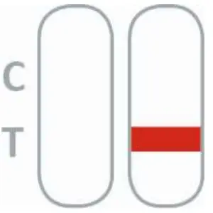 Result Interpretation