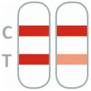 Result Interpretation