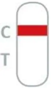 Result Interpretation