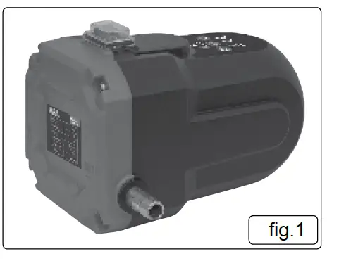 Simply-OTP01-12V-Oil-Pump-02