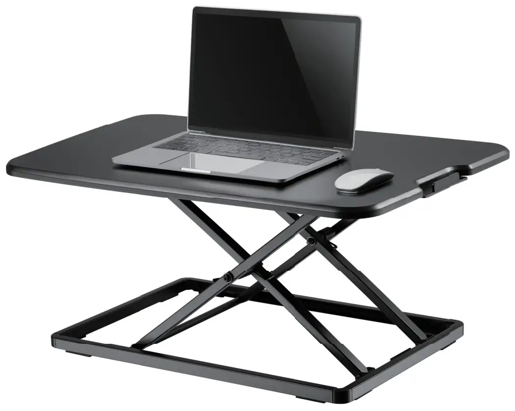 NEWSTAR NS-WS050BLACK Sit Stand Workstation