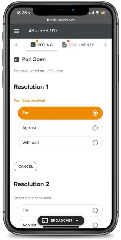 LUMI Virtual Meeting App - Voting
