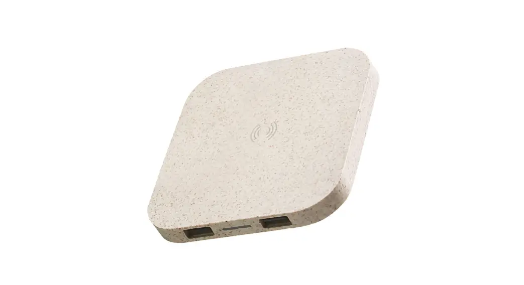 Blaupunkt Blp0232-001 Wireless Charger User Manual