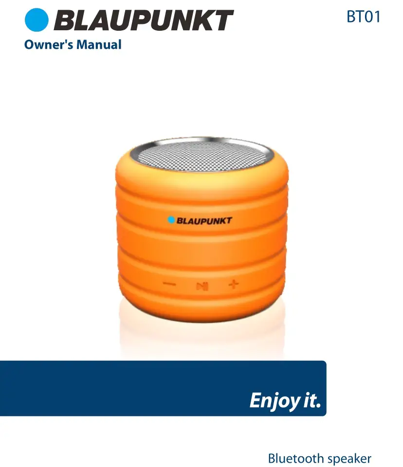 BLAUPUNKT Bluetooth Speaker Owner's Manual