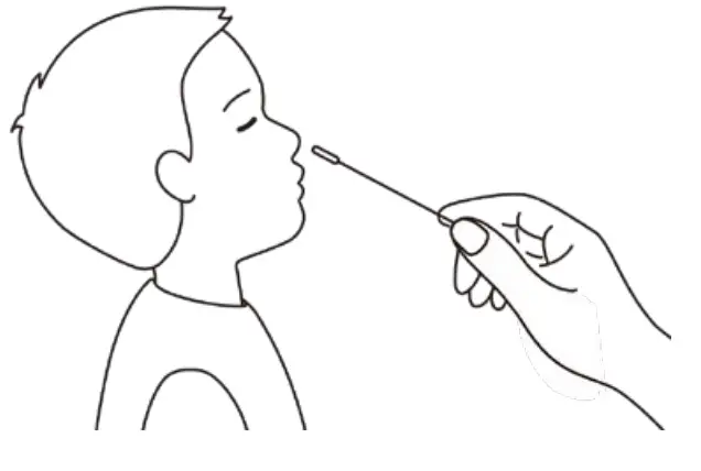 ACON Flowflex COVID 19 Antigen Home Test - COLLECTION BY