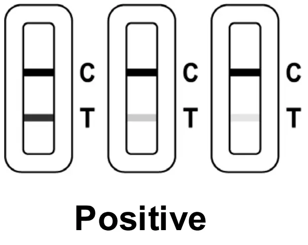 ACON Flowflex COVID 19 Antigen Home Test - Positive