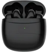 Charging case ,Earphones