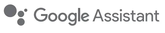 Google Assistant