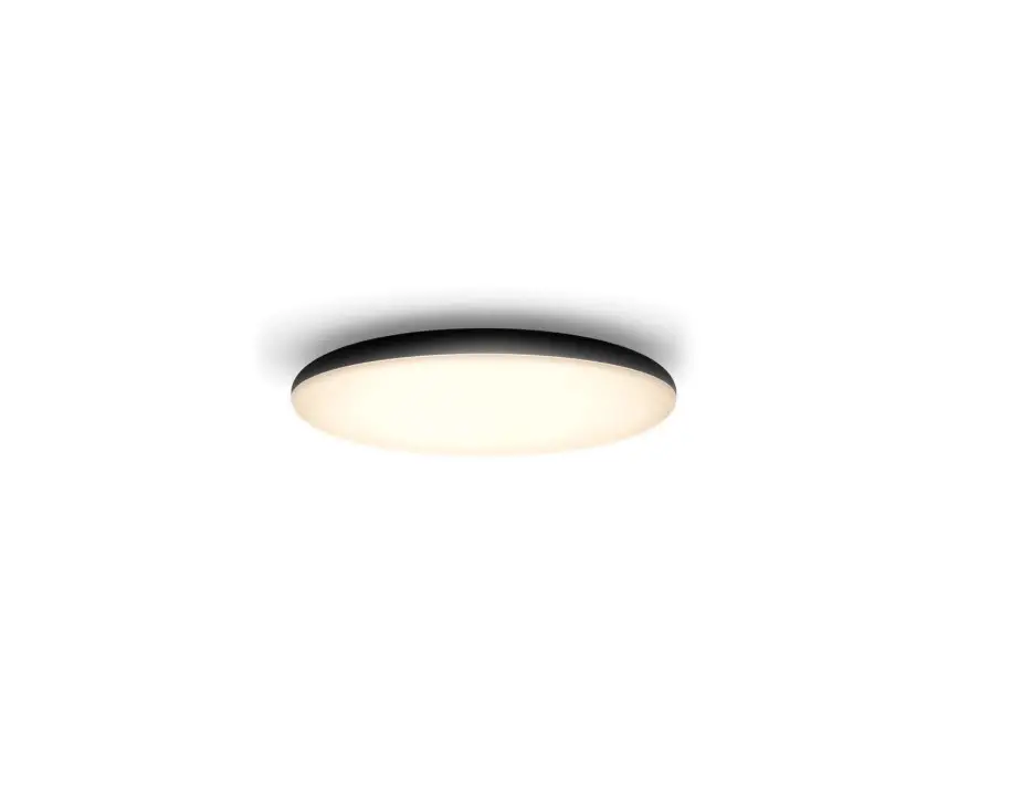 Philips 40967 Hue Cher Ceiling Light User Manual