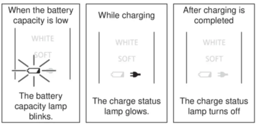 Panasonic EW DL82 Sonic Vibration Toothbrush - fig 4