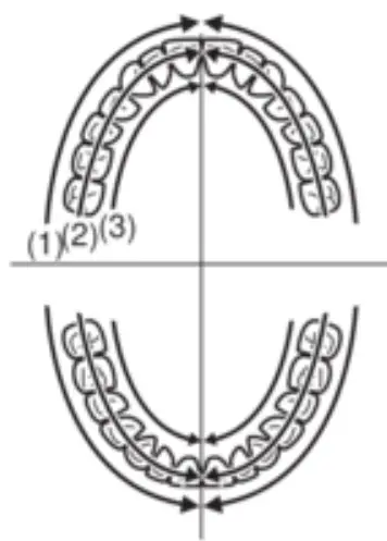 Panasonic EW DL82 Sonic Vibration Toothbrush - fig 5
