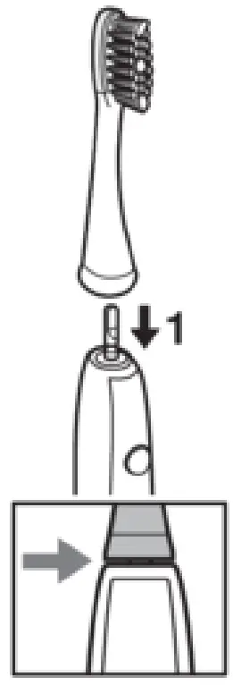Panasonic EW DL82 Sonic Vibration Toothbrush - fig 6
