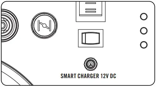 CHAMPION 73001I-DF 3500W LPG Dual Fuel Inverter Generator Instruction Manual - Smart Charger