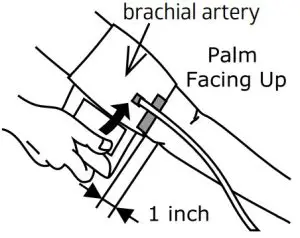 Assembly Instructions