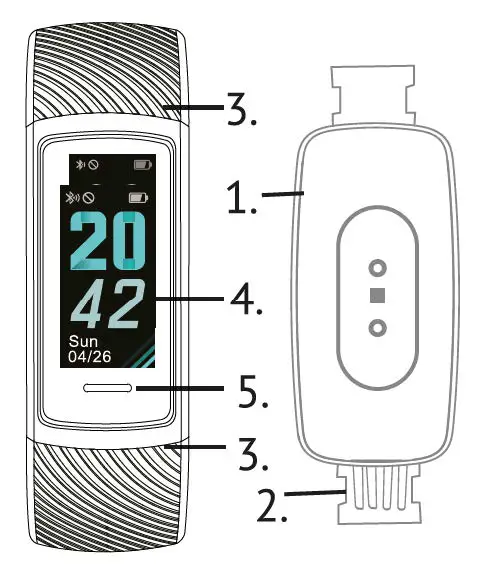 GUARDO Fit Coach Viva fig1