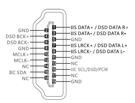 IIS reverse definition