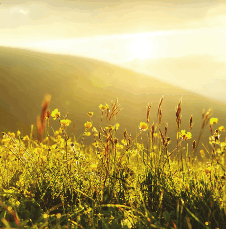 UMAGE UNIFIER Wireless Charger - Fig 2