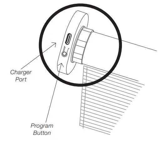 SelectBlinds Classic Shoreline Cordless Woven Wood Shades - Figure 5