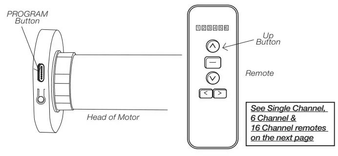 SelectBlinds Classic Shoreline Cordless Woven Wood Shades - Figure 6