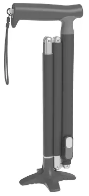 MICHAEL-GRAVES-DESIGN-Quick-Fold-Cane-product