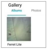 FERRET TOOLS Lite Inspection Camera - 16