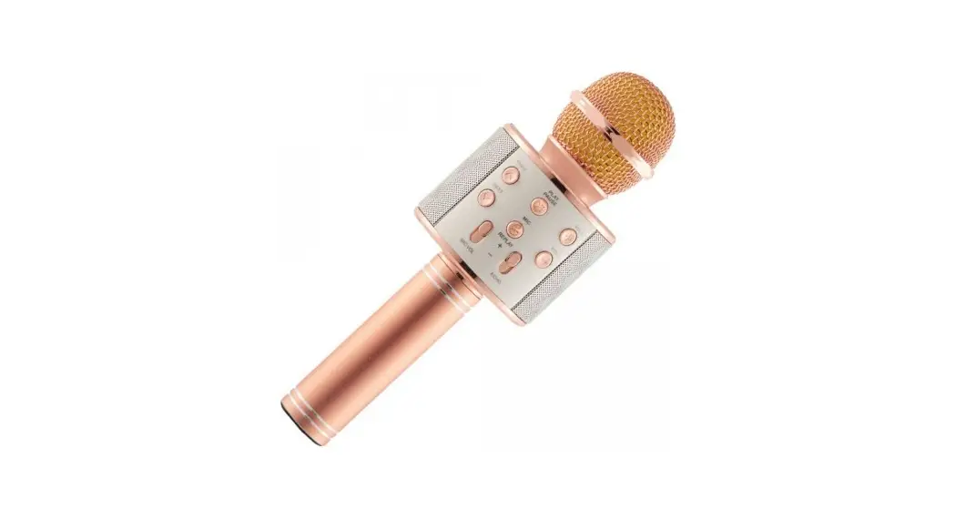 Zeeva Sp-0120 Bt Led Karaoke Mic Instruction Manual Zeeva Sp-0120 Bt Led Karaoke Mic Instruction Manual