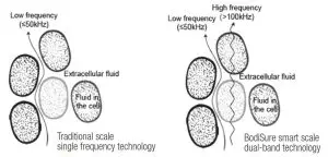bodisure BBC100-BK- WH Smart Body Composition Scale - Bioelectrical