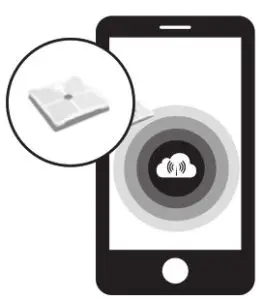 bodisure BBC100-BK- WH Smart Body Composition Scale - Select