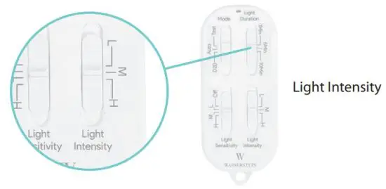 FIG 7 Light Intensity.JPG
