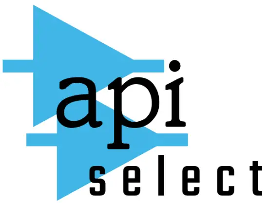api - logo