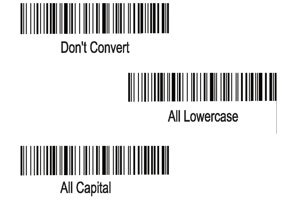 Capital & Lowercase
