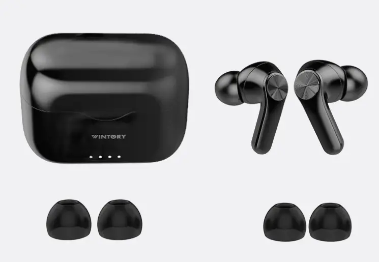 Wintory-Truly-wireless-earbuds-Bluetooth-5.0-Earphones-with-Microphone-Bluetooth-fig-1